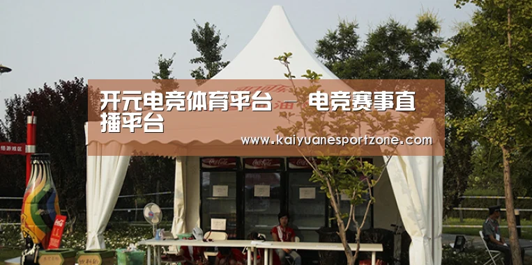 案例标题五