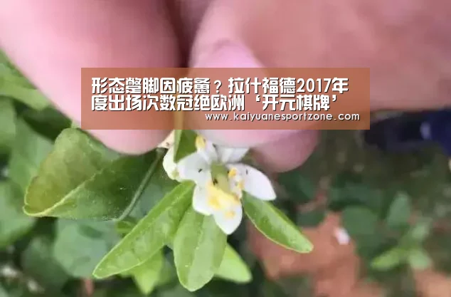 开元体育