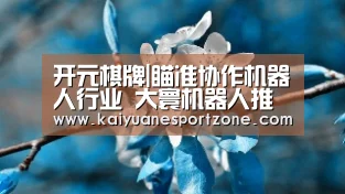 开元棋牌|瞄准协作机器人行业 大寰机器人推出大行程自适应的机器人夹爪(图1) 开元电竞